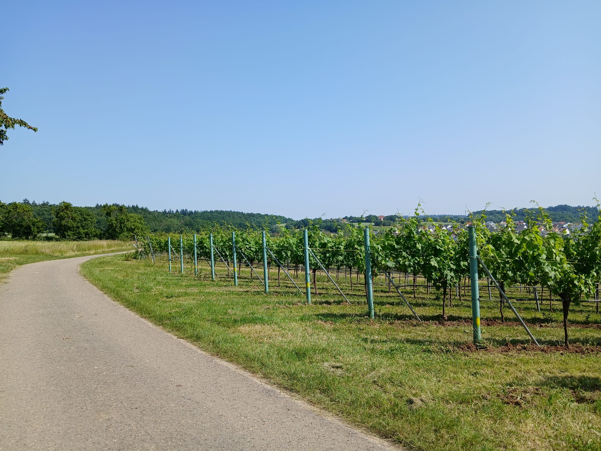 Hintergrundbild